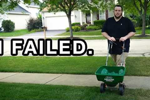 I seeded my lawn in spring. Here's what happened to my lawn