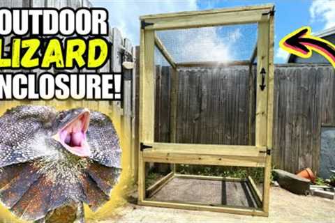 Building an Outdoor Lizard Enclosure for my FRILLED DRAGON! (Tutorial)