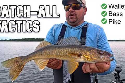 3 Tactics that Catch EVERYTHING in the Lake