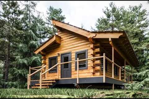 Log Cabin Building TIMELAPSE Built by ONE MAN (and Grandson)