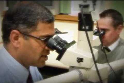 A Medical Career - Why Not Pathology?