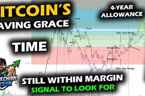 BITCOIN AFTER THE CRASH, The Saving Grace For Bitcoin's Price to Recover, Signal in Altcoins Was Key