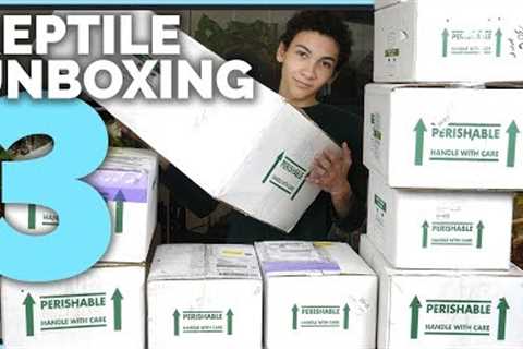 Unboxing 20 New Reptiles! Big &amp; Small Lizards, Pythons, Boas, Geckos and More