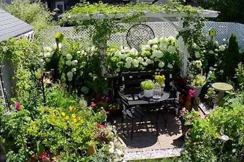 SUMMER Full Tiny Backyard Garden Tour | Relaxing Plants and Flowers #garden #gardening #flowers