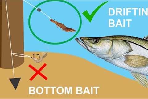 The Secret to Catching BIG Fish at the Pier! (Simple Pier Fishing Tip)