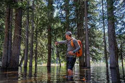 The CRAZIEST Place I've Ever Catch Trout | Flooded Forest Fly-Fishing