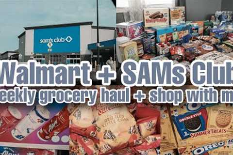 Walmart Grocery Haul + SAMs Club Shop With Me | New Grocery Finds July 2024 | Budget Friendly