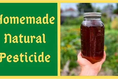 Homemade Natural Pesticide - JADAM Herbal Solution - JHS