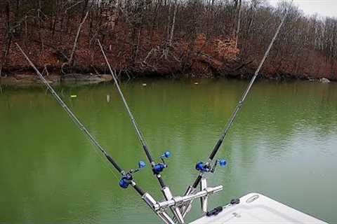 Striper Fishing Freshwater Basics, How to catch Stripers RIGHT NOW! Smith Mountain Lake