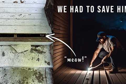 (MUST WATCH) We tore up our porch! Busy Weekend of Home Repairs, Projects, Gardening &amp; DIY’s!..