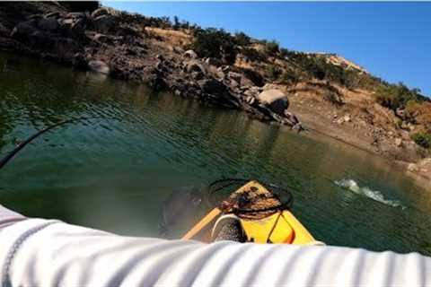 Nonstop action at Pine Flat Lake