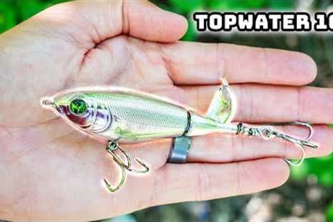 Learn To Fish Topwater Lures In 2024! (Success Guaranteed)