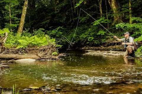 Exploring a Hidden Gem | Fly Fishing for Wild Trout on a Small Overlooked Stream - Central, NY