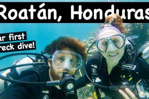 We Spent 1 Week at an UNLIMITED Scuba Diving Resort in Roatan, Honduras! 1st Wreck Diving!