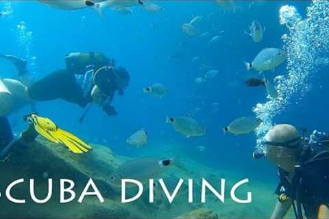 TURKEY: scuba diving at Alanya