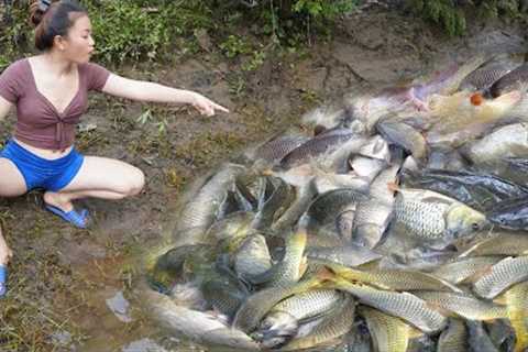 Top Videos: Survival Skills, Catching Fish With Pump, Harvesting A Lot Of Fish In The Lake
