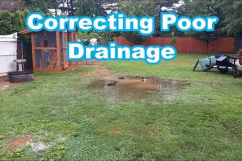 Fixing my Backyard Drainage Issues (Rain = Duck Pond)