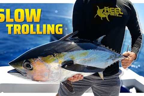 Trolling Fishing For Beginners