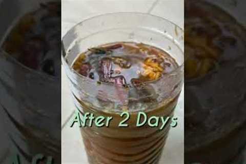 make easy and free organic liquid fertilizer from kitchen wastes #shorts