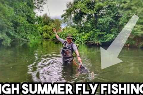 Summer River Fly Fishing - It's been a while!