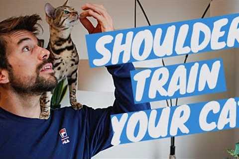 How to TRAIN A CAT TO SIT ON YOUR SHOULDER using clicker training