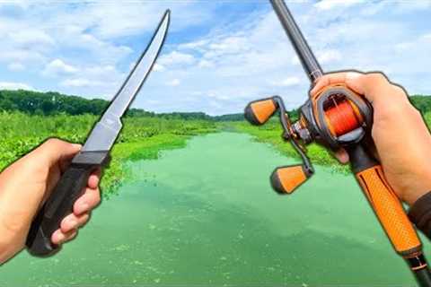 Fishing a Toxic Swamp.. Eating Whatever I Catch (Catch and Cook)