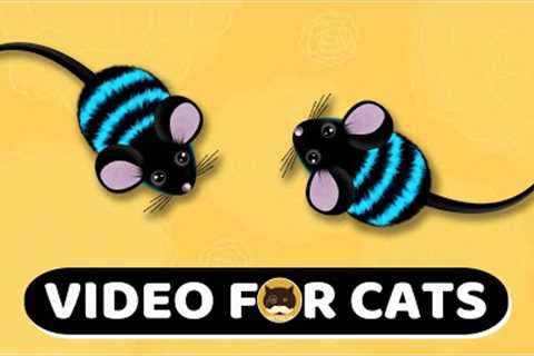 CAT GAMES - Mouse. Mice Video For Cats | CAT &amp; DOG TV | 1 Hour.