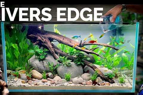 Rainbow Rivers Edge: EPIC 3ft Aquarium Natural Style (Aquascape Tutorial)