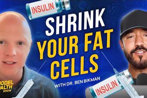 The Truth About Insulin Resistance, Fat Loss, &amp; Disease Prevention | Dr. Benjamin Bikman