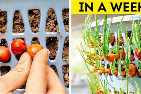 Gardening Ideas for Home: Creative and Practical Gardening Hacks for Every Space 🌱