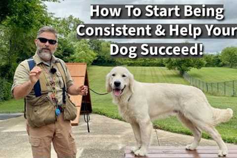 How To Be Consistent And Help Your Puppy (Dog) Succeed | Training Demonstration With Five Dogs