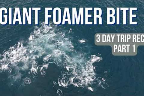 Giant Foamer with Mako &amp; Whale - Day Time Tuna Fishing