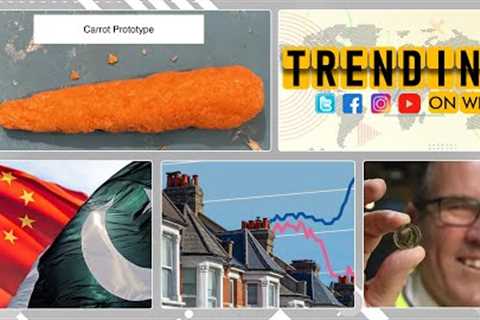 Innovative 3D carrot printer aiming to address global food crisis | Trending on WION