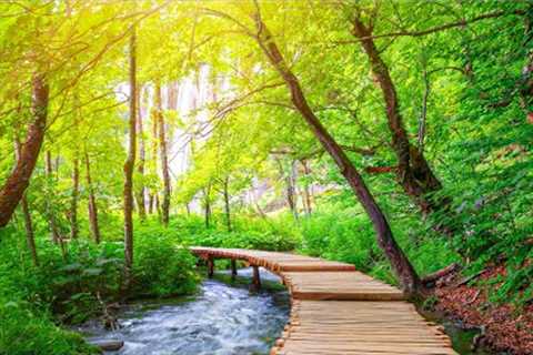 Ultimate Stress Relief - Soothing Music for Relaxation, Meditation and Anxiety Reduction