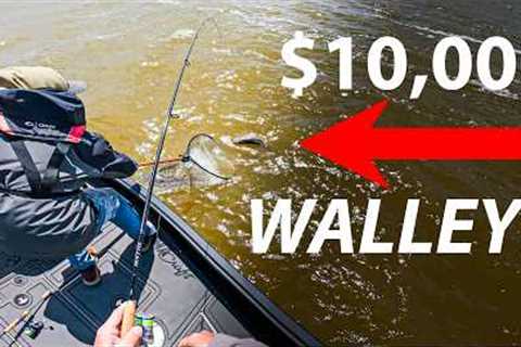 MONSTER Fish Worth $10,000!!! (11 Lake Challenge)