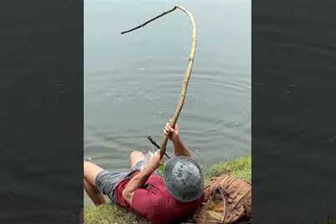 Primitive Fishing Skills. BIG ROD BIG FISH. Catch Fish At River For Survival