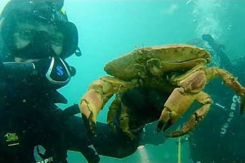 SCUBA Diving for Treasure in the UK! (Treasure Hunting Road Trip PT3)