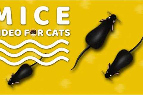 CAT GAMES - Mice. Mouse Sounds Video for Cats | CAT &amp; DOG TV.