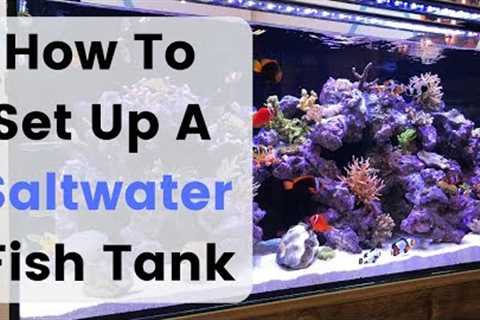 How To Set Up (Build) A Saltwater Fish Tank / Aquarium
