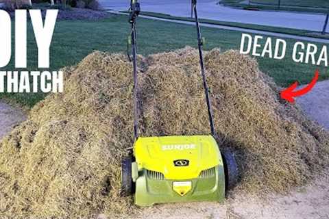 DIY Dethatching &amp; Overseed the Lawn | Sun Joe Dethatcher &amp; Scarifier | Spring Lawn Care