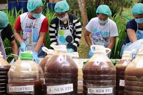 How to Make Organic Concoction and Pesticide | FFJ, FPJ, EMAS, FAA, CALPHOS, TAKAKURA and VERMITEA