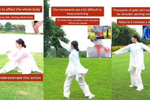 The lower back, shoulder, neck and spine will be relax | Qi Gong exercise