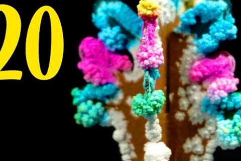 20 AMAZING SCIENCE EXPERIMENTS! Compilation