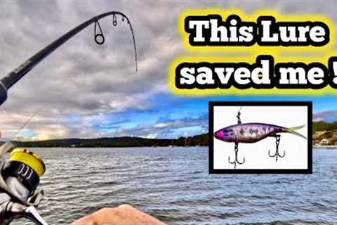 Casting lures for 9 hours on Lake Macquarie - was it worth it ?