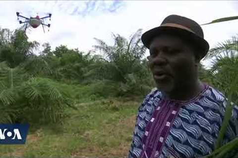 Africa Farmers Using Drone Technology