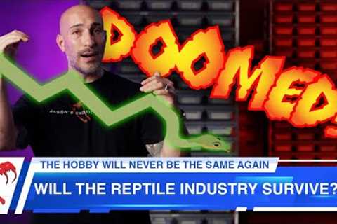 Is The Reptile Market Doomed? | Future of Reptile Keeping and Breeding Industry