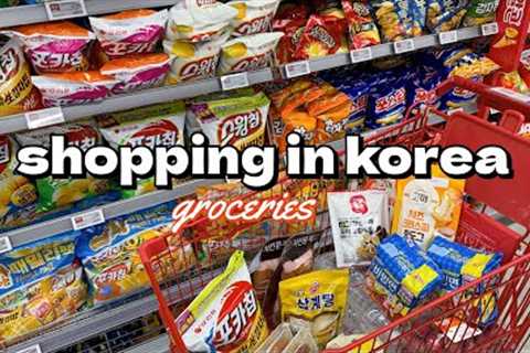 shopping in korea vlog 🇰🇷 grocery food haul 🍒 fruits, snacks, summer food 🥘