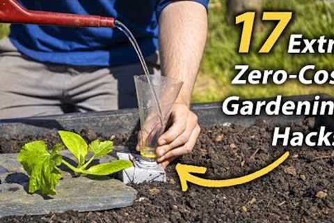 17 MORE Brilliant FREE Vegetable Gardening Hacks | Productive and Easy Garden Hacks
