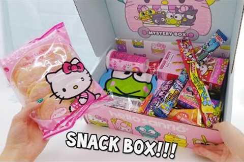 Hello Sanrio Mystery Snack Box Unboxing and Review!!!