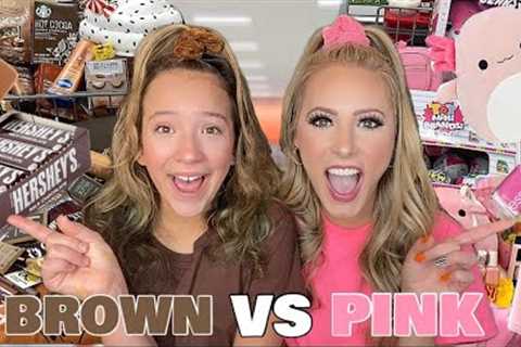 BROWN 🐻🍪 VS PINK 🎀🐷 NO BUDGET TARGET SHOPPING CHALLENGE!